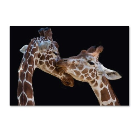 Trademark Fine Art Manfred Foeger 'The Kiss' Canvas Art, 12x19 1X02589-C1219GG
